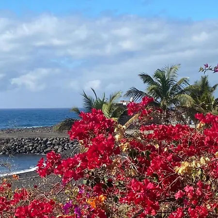 Διαμέρισμα Girasol Puerto De La Cruz, Plaza Charco